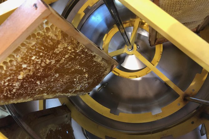 Honey Tour & Tasting - Tour Highlights