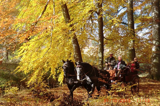 Horse and Carriage Tours With Polish Traditional Food Experience - Customer Feedback and Engagement