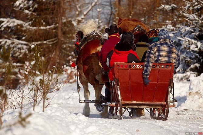 Horse Sleigh Ride in the Polish Countryside, Private Tour From Krakow - Tour Overview