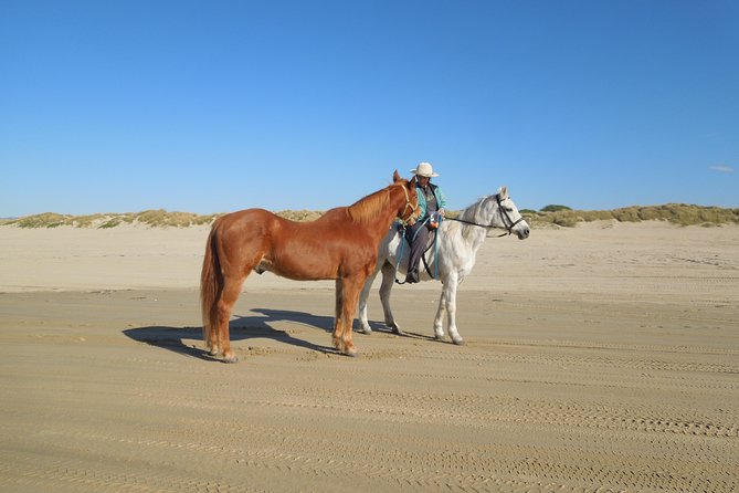 Horseback Ride on the Beach & Alcatraz Tour in San Francisco - Overview