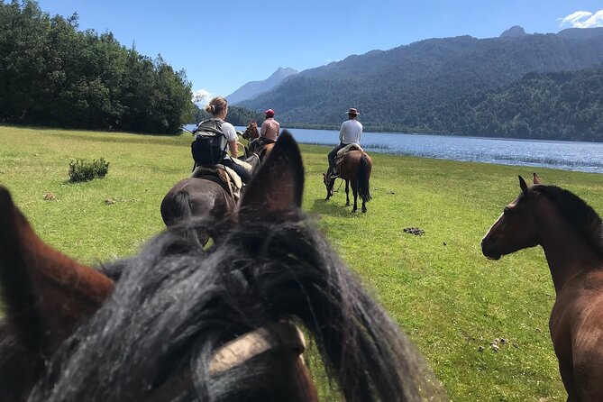 Horseback Ride to Cayutue Lagoon, National Park. - Good To Know