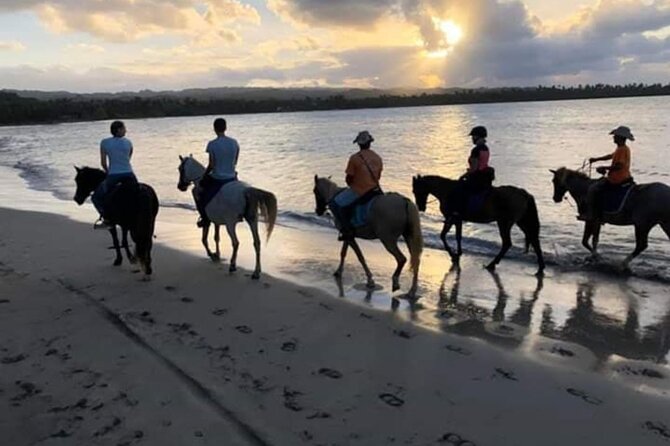 Horseback Riding on the Beach - Horseback Riding Punta Cana - Inclusions and Facilities