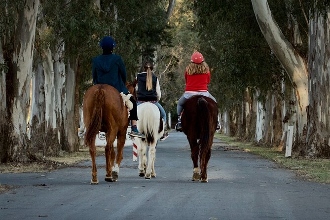 Horseback Riding, Polo, and BBQ in Buenos Aires - Polo Lessons for Beginners