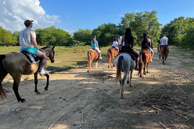 Horseback “Special”- Negril'S Beach Ride N' Swim With Free Photos/Videos - Enjoyable Family Experience