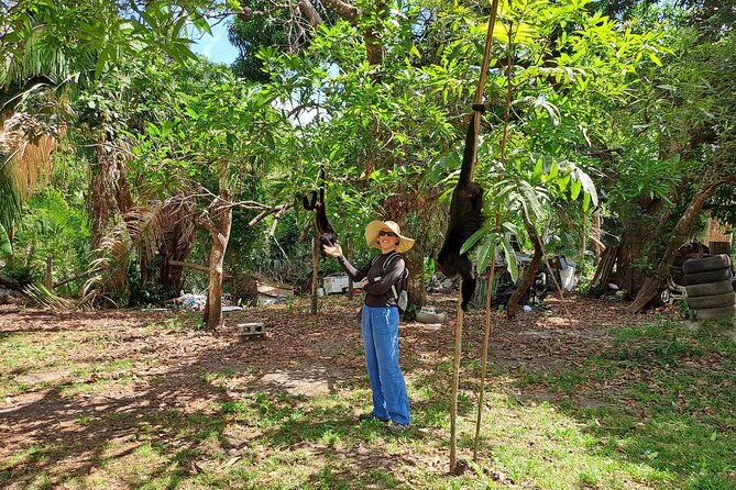Howler Monkey Sanctuary Tour From Belize City - Cancellation Policy Details