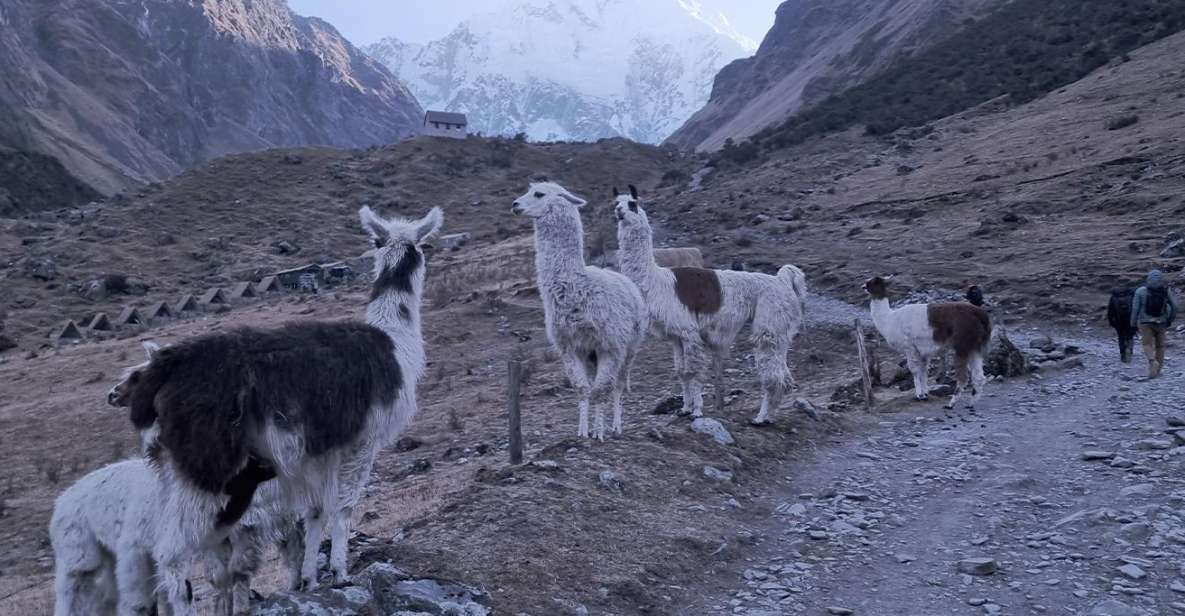 Humantay Lake Tour and Machu Picchu Tour by Train - Tour Highlights