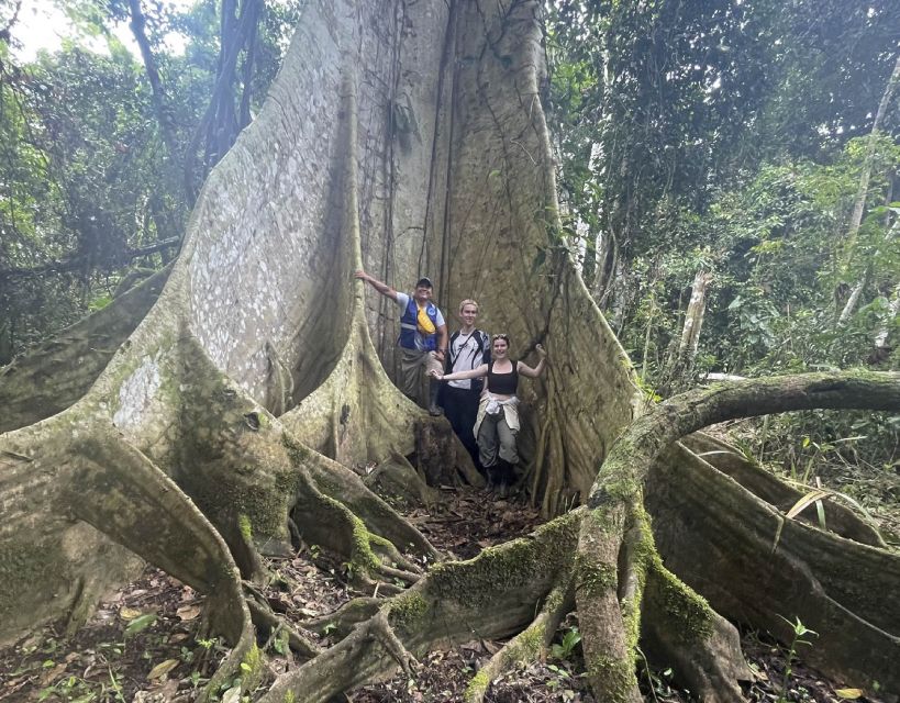 Iquitos: 2-Day 1-Night Amazon Jungle Lodge and Adventure - Adventure Activities Included