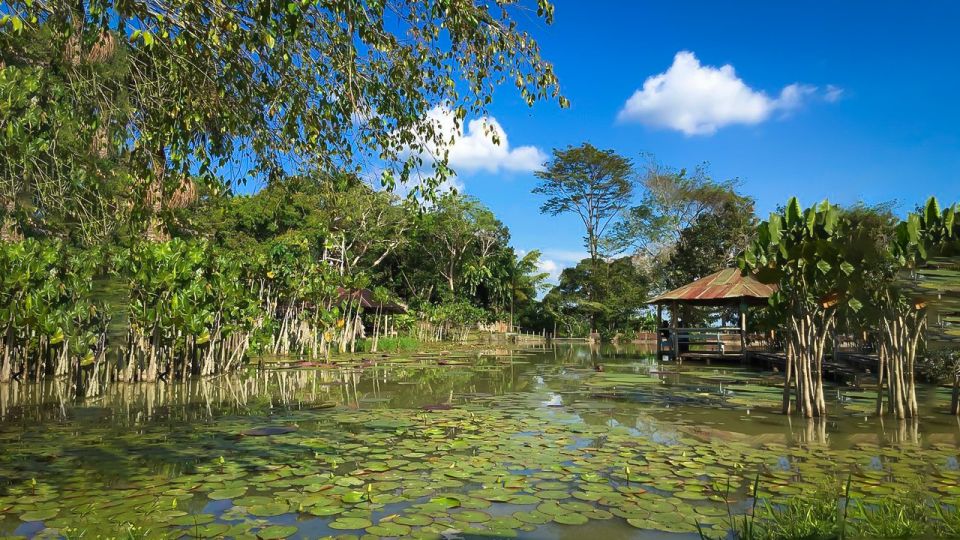 Iquitos: 6-Hour Wonderful Wildlife Guided Tour - Tour Highlights