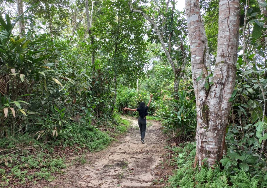 Iquitos: Healing Treatment With Medicinal Plants - Detailed Itinerary for Healing Experience