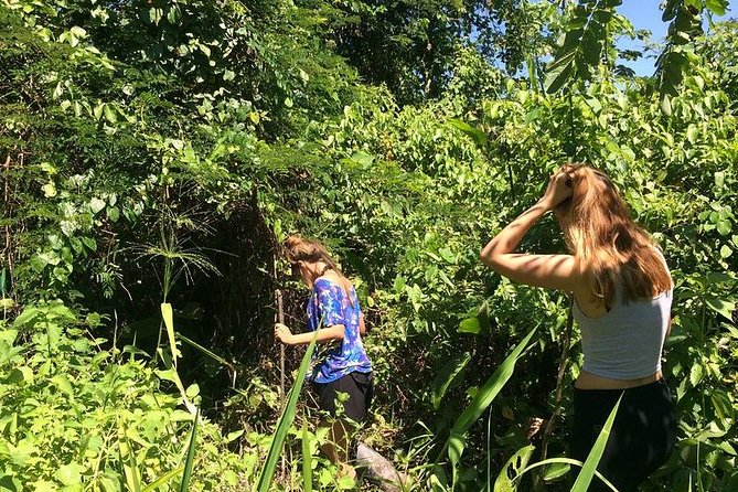 Iquitos in the Jungle 2 Days -1 Night - Wildlife Encounters