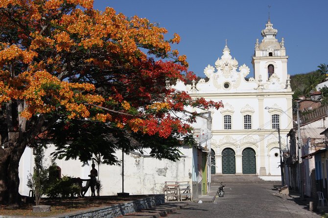 Ivan Bahias TOP Cachoeira & Recôncavo Cultural Heritage Day-Tour From Salvador - Tour Itinerary Highlights