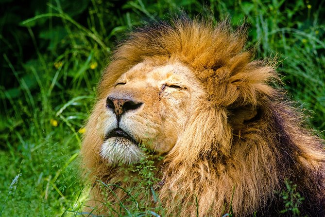Krakow: Zoo With Hotel Transfer - Key Highlights