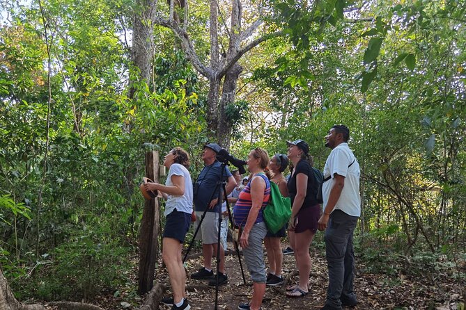 La Cruz Mangrove, Sloths, and City Tour  - Playa Hermosa - Good To Know