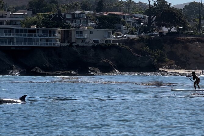 Laguna Beach Stand Up Paddle Activity - Equipment Included