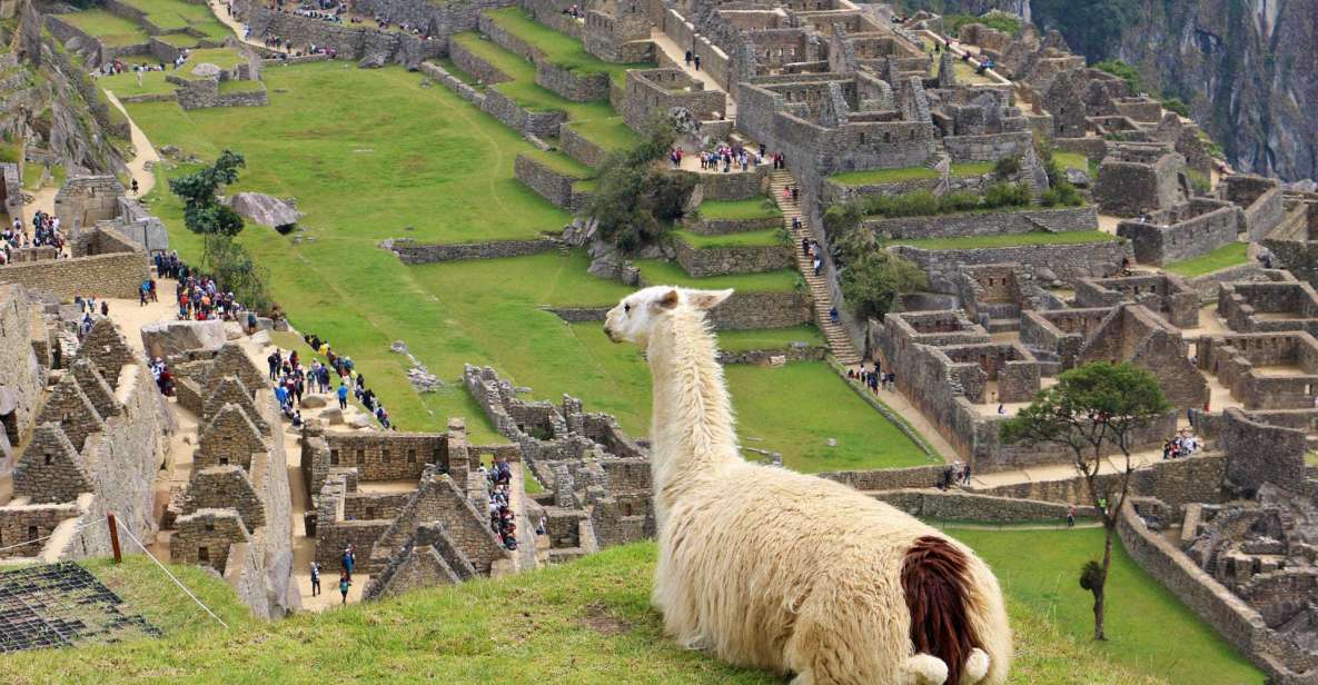 Lima: 9-Day Peru Express With Ica, Cusco, and Puno - Inclusions and Exclusions
