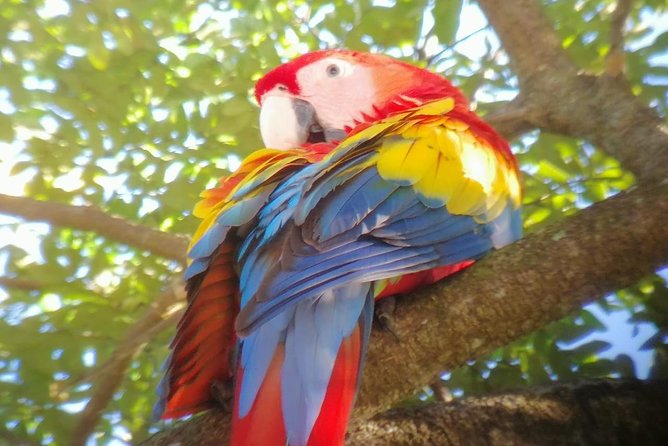 Local Birdwatching Tours With Mauro - Logistics