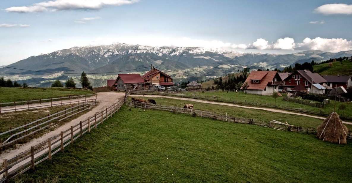 Local Experience in Brasov and Its Surroundings - Highlights of the Experience
