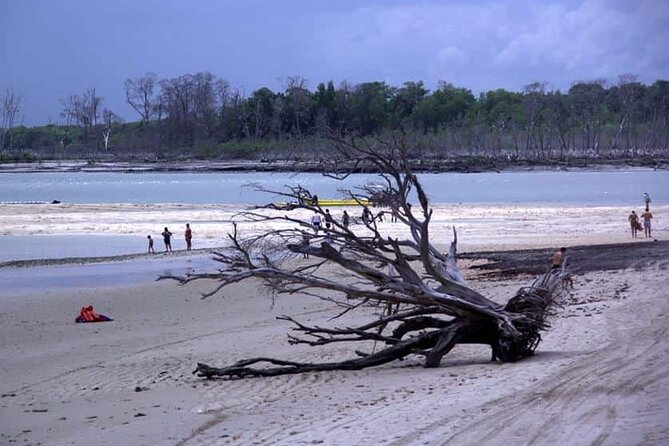 Luis Correia East Coast Beach Tour - Traveler Experience Highlights
