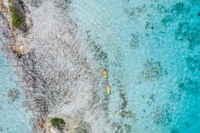 Luxury Lagoon Cruise in Aruba - Overall Experience and Recommendations