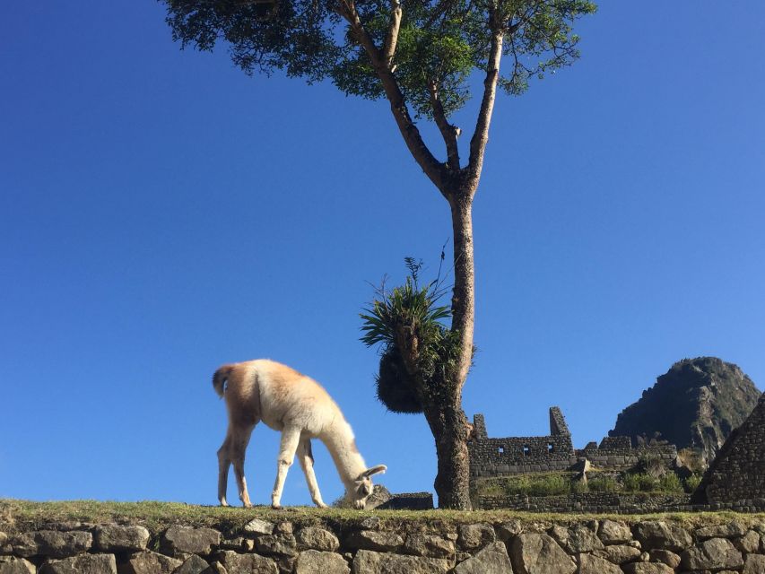 Machu Picchu By Train (2 Days) - Inclusions and Exclusions