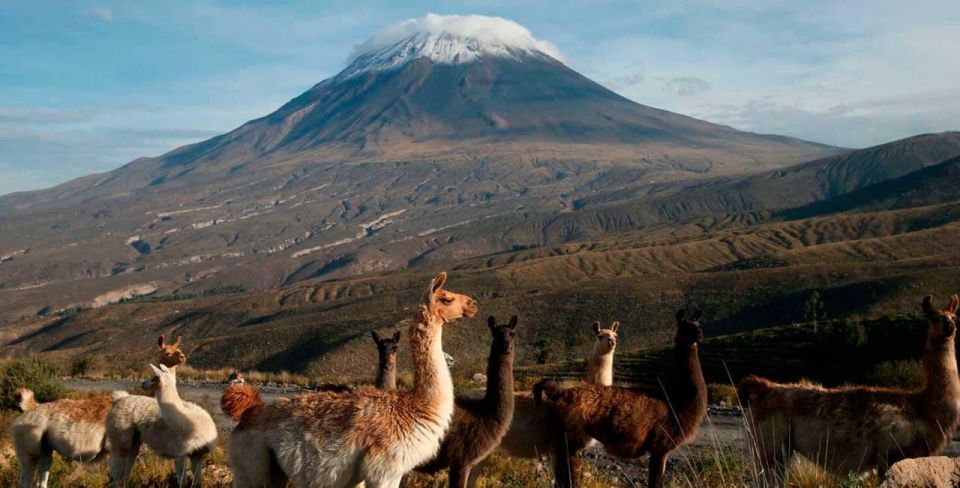 Majestic Misti: A Thrilling 2-Day Arequipa Escape" - Good To Know