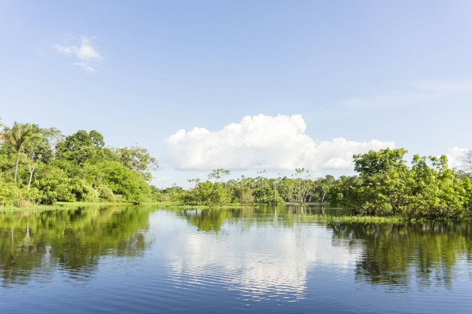 Manaus: Amazon River Stand-Up Paddle - Experience the Beauty of Amazon River