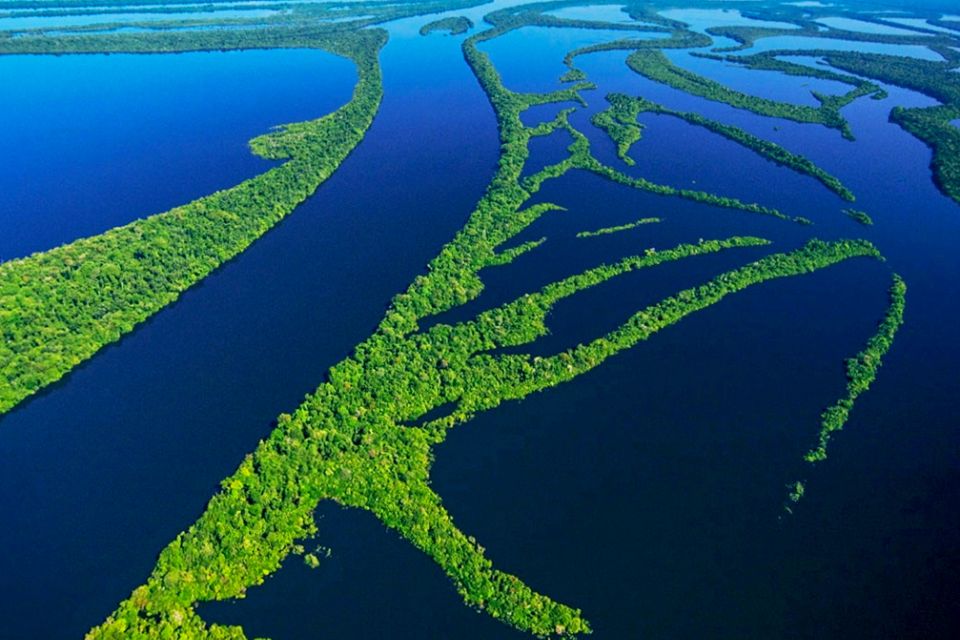 Manaus: Amazonas Jungle Trek & Anavilhanas Archipelago - Good To Know