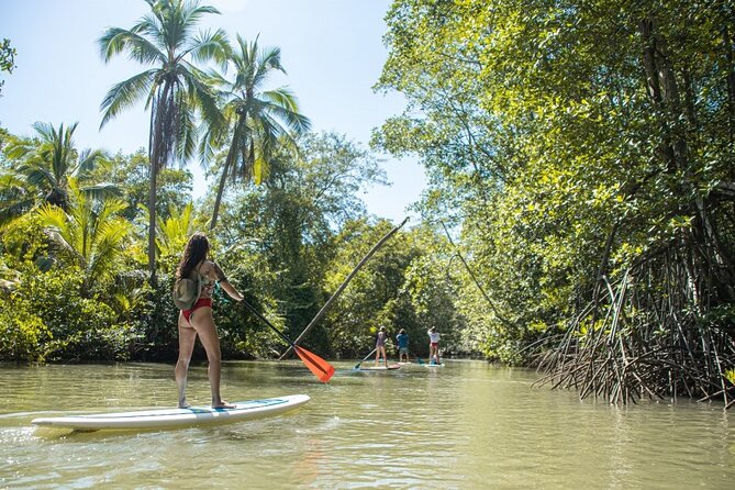 Mangrove Paddle Ride Sainte Anne Guadeloupe - Accessibility Information