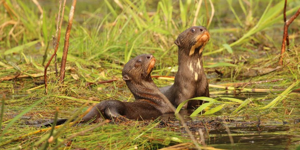 Manu Jungle Excursion 3D Cloud Forest, Night Hike - Itinerary Details