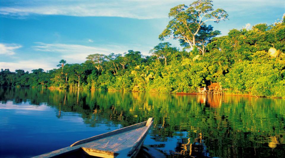 Manu Rainforest Tour 6 Days - Experience and Accommodation Highlights