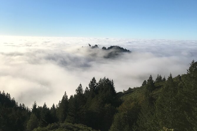Marin County Gravel Bike - Pricing and Booking Details