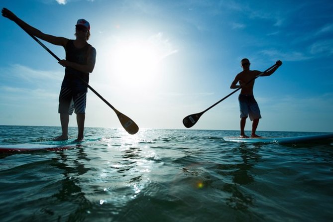 Marina Del Rey Paddleboard Tour - Good To Know