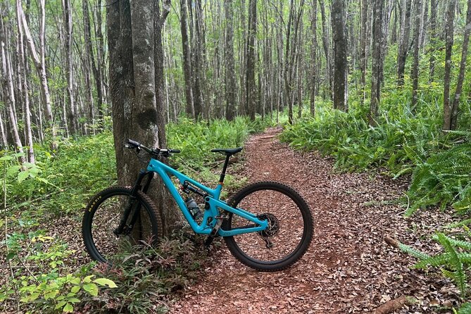 Maui MTB Singletrack on Mountain Bikes or Electric Mountain Bikes - Additional Information and Policies