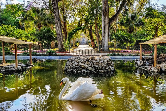 Mdina, Dingli Cliffs and San Anton Gardens Half-Day Guided Tour - Itinerary Overview