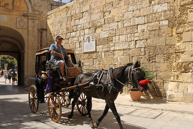 Mdina: Echoes of the Silent City A Historical Walking Guided Tour - Historical Significance of Mdina