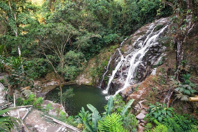 Minca Day-Trip and Coffee Farm Visit From Santa Marta - Tour Details