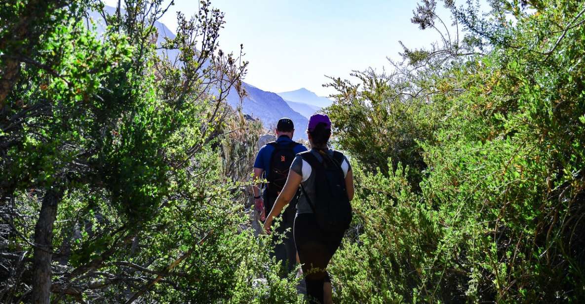 Multi Adventure Cochiguaz: Trekking Plus Downhill Bike. - Inclusions and Equipment
