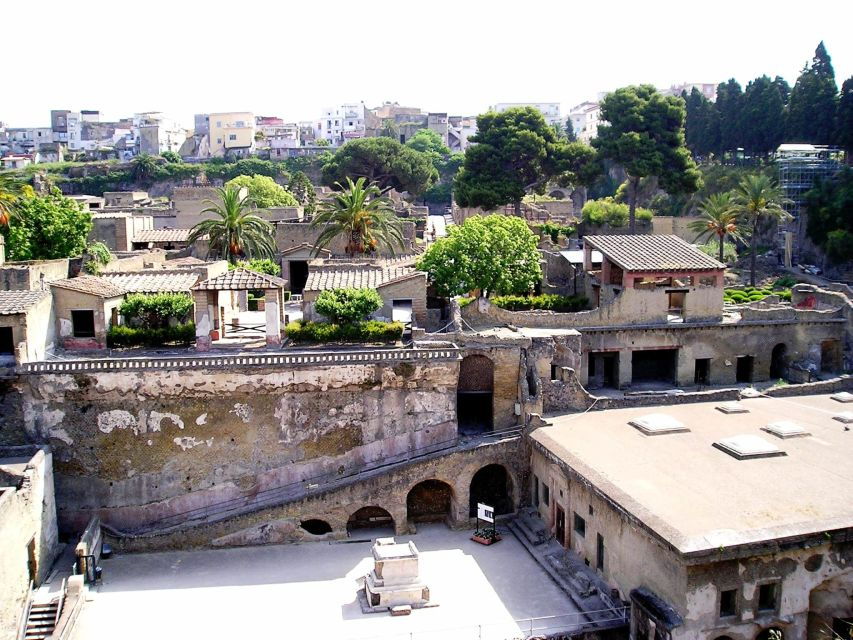 Naples: Herculaneum Skip-the-Line Private Guided Tour - Meeting Point and Highlights