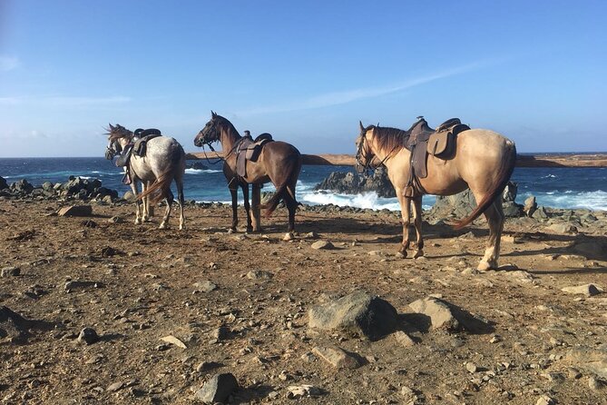Natural Pool Horseback Riding Tour in Aruba - Meeting and Pickup