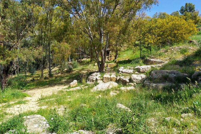 Naturalistic and Cultural Tour Around the Valley of the Temples - Tour Highlights