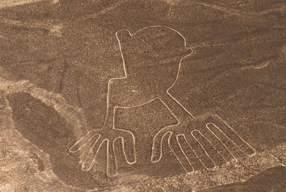Nazca Lines Fullday From Lima: Fly Over Mystics Geoglyphs - Good To Know