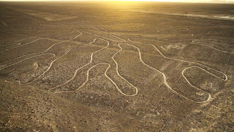 Nazca: Scenic Flight Over the Nazca Lines - Good To Know