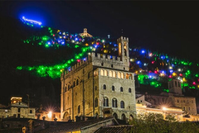 New Year Lights " - Tour Highlights