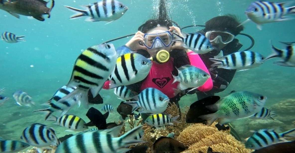 Nha Trang: Coral Reef Scuba Diving and Floating Bar Party - Coral Reef Scuba Diving Experience