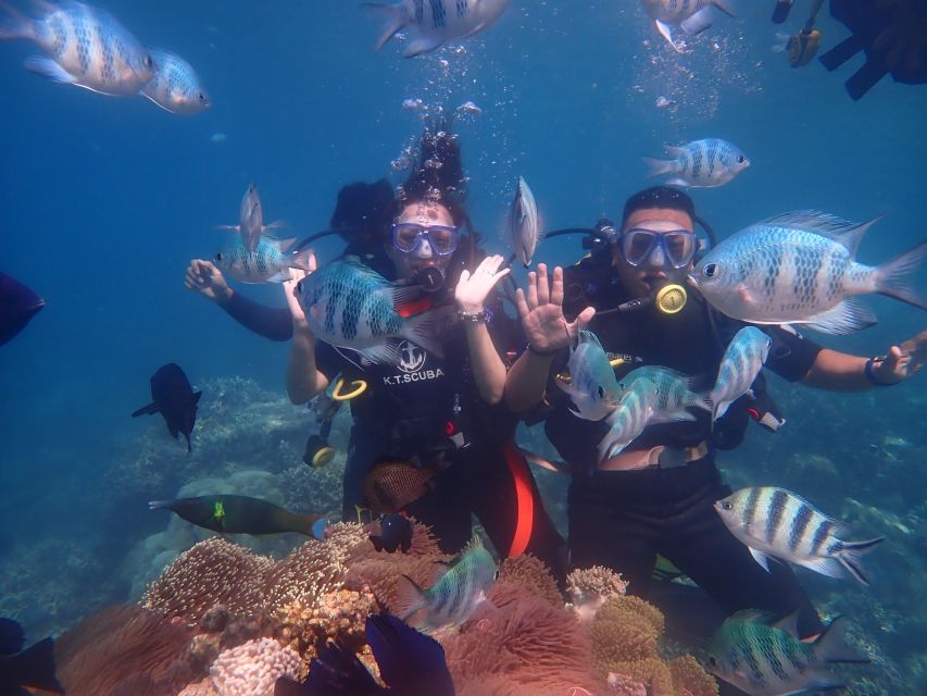 Nha Trang: Professional Scuba Diving for Certified Divers - Instructor and Pickup Services