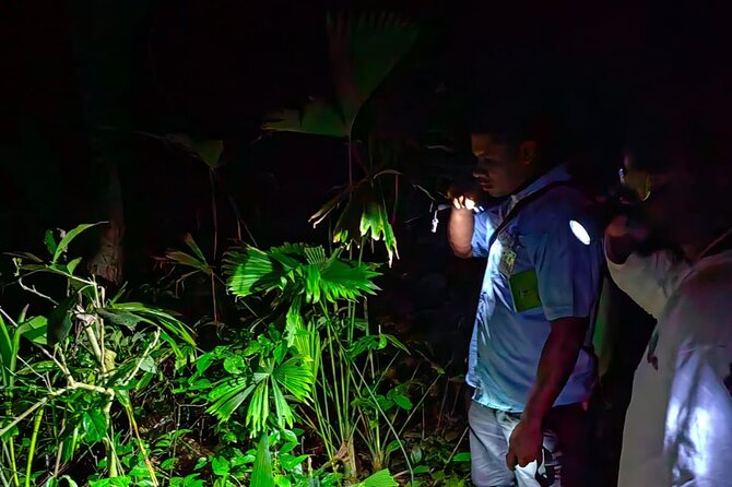 Night Adventure: Explore Manzanillo Refuge Under Stars - Operator and Booking Information