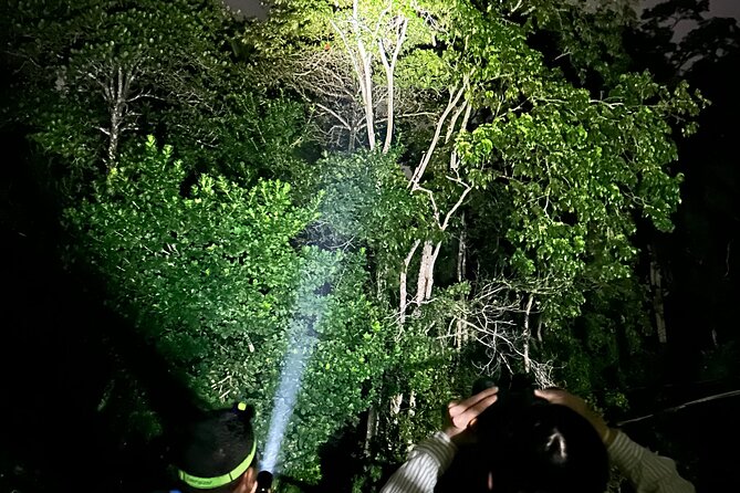 Night Hiking Tour at the Gandoca Manzanillo Mixed Refuge - Tour Highlights