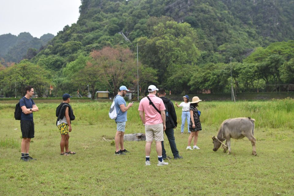 Ninh Binh - Hoa Lu - Tam Coc - Mua Cave Day Trip, Boat, Bike - Included Services