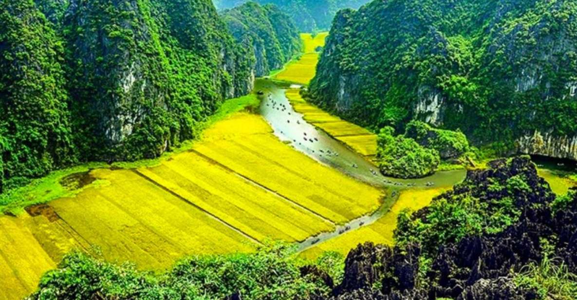 Ninh Binh : Hoa Lu, Trang An, and Mua Cave Full-Day Trip - Good To Know