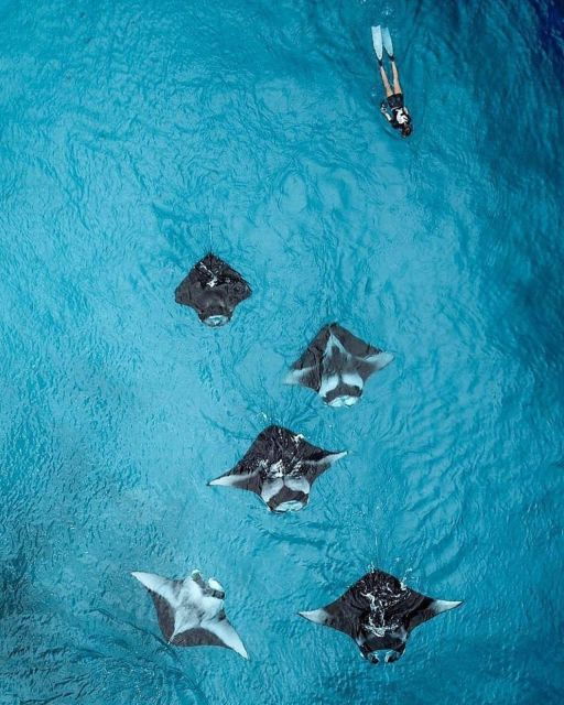 Nusa Penida Land Tour & Snorkeling With Manta Ray